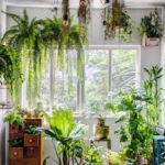 plantas-suspensas-rio-magazine5